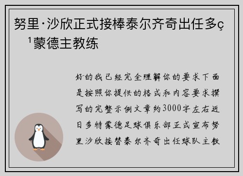努里·沙欣正式接棒泰尔齐奇出任多特蒙德主教练